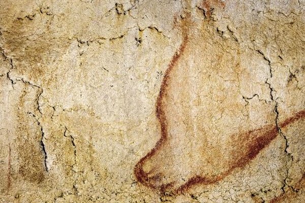 ภาพเขียนผนังถ้ำ เก่าแก่ที่สุดในโลก Grotte Chauvet-Pont d&rsquo;Arc ประเทศฝรั่งเศส