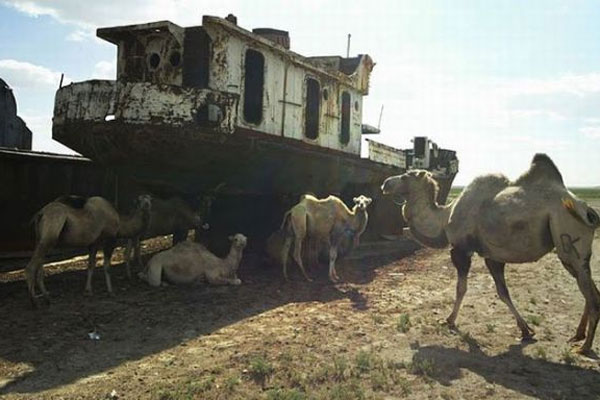 ทะเล Aral sea อดีตทะเล ที่สายน้ำไม่อาจหวนคืน