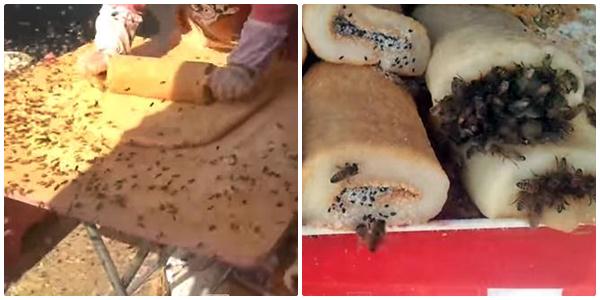 ไปเมืองจีน กินอะไร? 10 เมนูเด็ด Street Food จากประเทศจีน กล้ากินมั้ย? (มีคลิป)