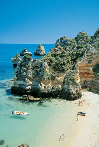 12 สุดยอดทะเลน่าแหวกว่าย