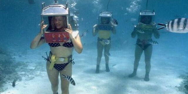 12 สุดยอดทะเลน่าแหวกว่าย