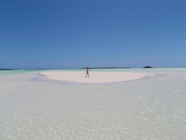 12 สุดยอดทะเลน่าแหวกว่าย