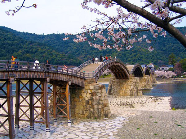 เที่ยวญี่ปุ่น ชมดอกซากุระที่สะพานคินไทเคียว (Kintai Bridge) สะพานไม้โค้งที่สวยที่สุด ในญี่ปุ่น