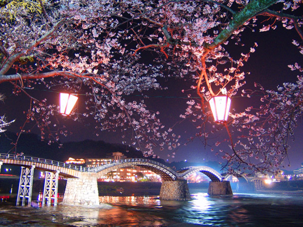 เที่ยวญี่ปุ่น ชมดอกซากุระที่สะพานคินไทเคียว (Kintai Bridge) สะพานไม้โค้งที่สวยที่สุด ในญี่ปุ่น