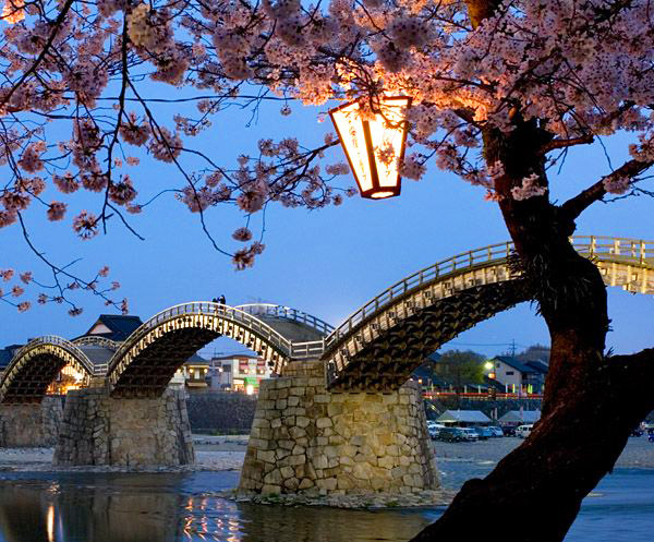 เที่ยวญี่ปุ่น ชมดอกซากุระที่สะพานคินไทเคียว (Kintai Bridge) สะพานไม้โค้งที่สวยที่สุด ในญี่ปุ่น