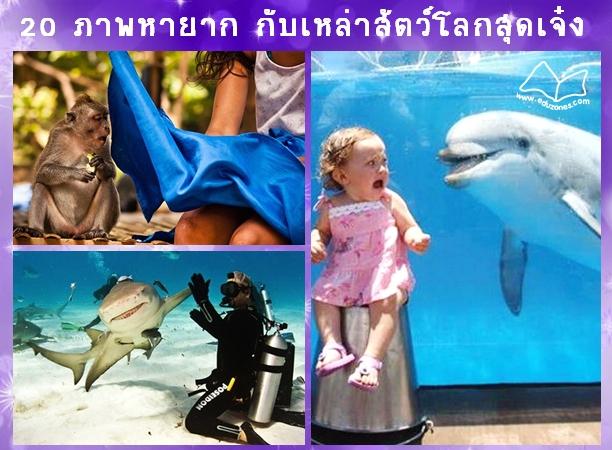 20 ภาพบังเอิญภาพหายาก สั