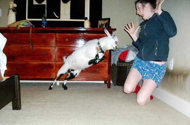 20 ภาพบังเอิญภาพหายาก สั