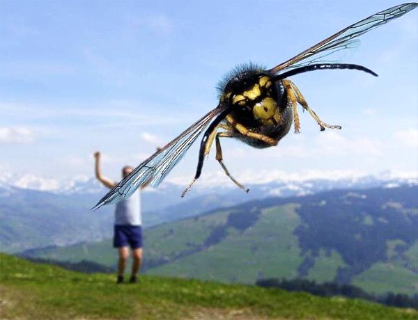 20 ภาพบังเอิญภาพหายาก สั