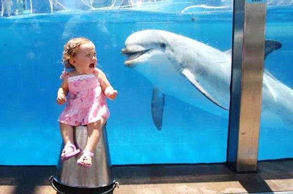 20 ภาพบังเอิญภาพหายาก สั