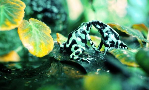 20 ภาพบังเอิญภาพหายาก สั