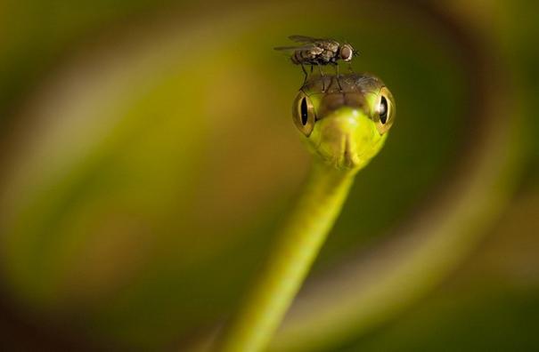 20 ภาพบังเอิญภาพหายาก สั