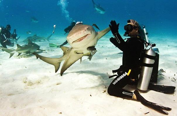 20 ภาพบังเอิญภาพหายาก สั