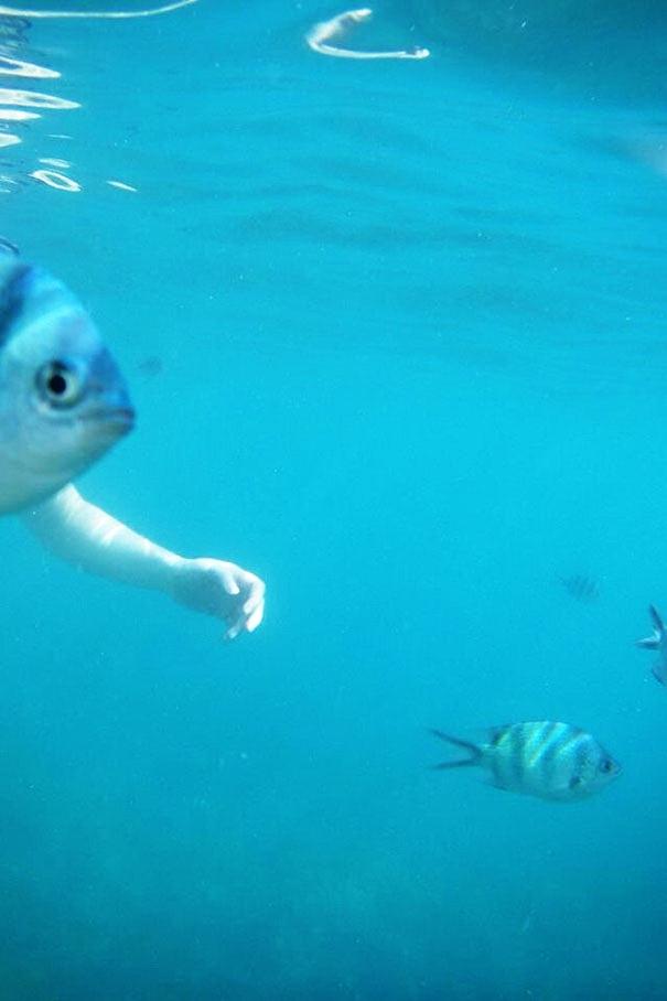 20 ภาพบังเอิญภาพหายาก สั