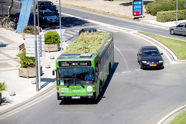 green_roof_bus_02