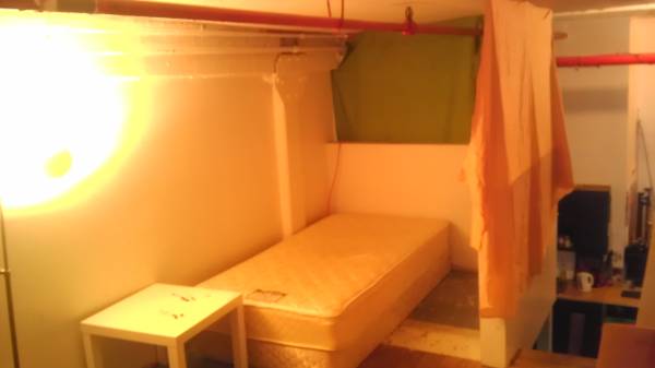 bushwick_brooklyn_12_250