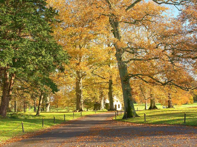 adare_manor_castle_hotel_ireland_21