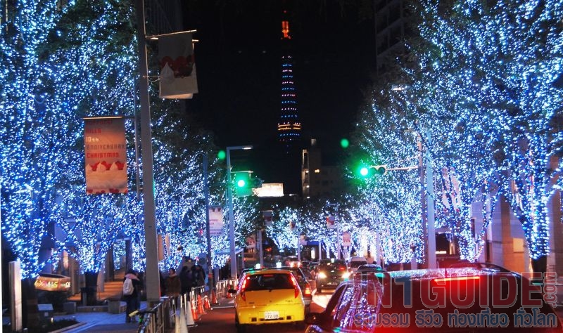 Tokyo Christmas Lights เดินชมแสงไฟในวันคริสมาสต์ที่โตเกียว