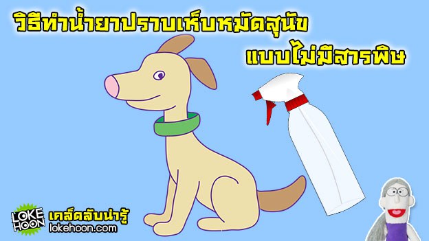 เคล็ดลับน่ารู้ - วิธีทำน้ำยาปราบเห็บหมัดสุนัขแบบไม่มีสารพิษ-1