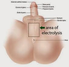 แปลงเพศ แปลงเพศ