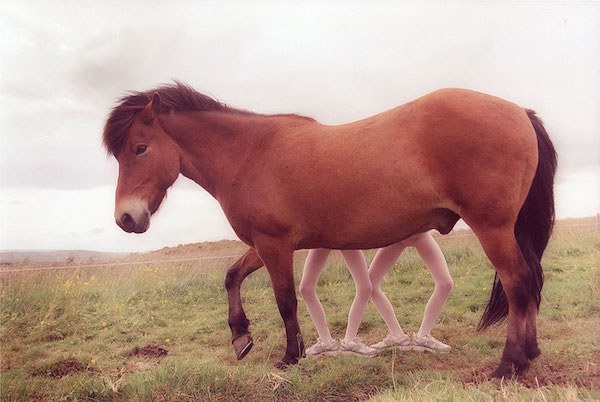 identical-twins-erna-hrefna-photography-iceland-ariko-inaoka-9