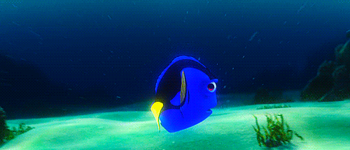 finding nemo