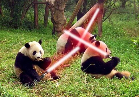 jedi-animals-41