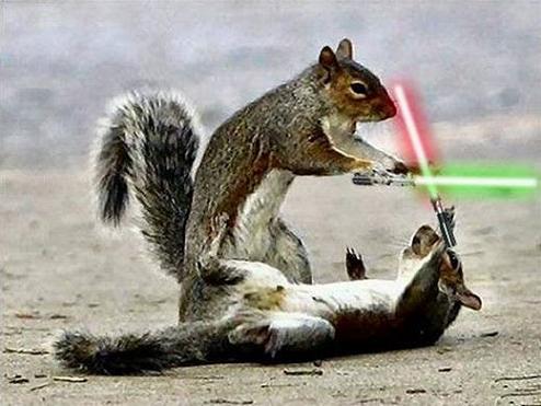 jedi-animals-40