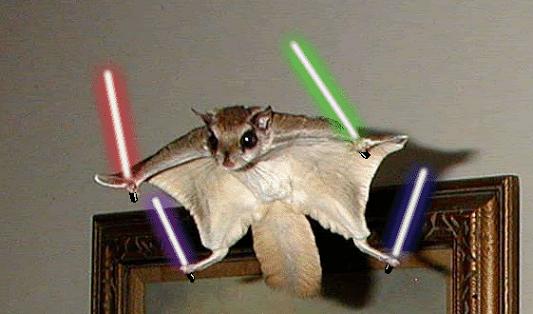 jedi-animals-39