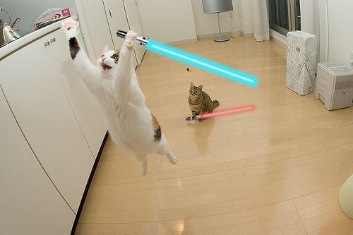jedi-animals-38