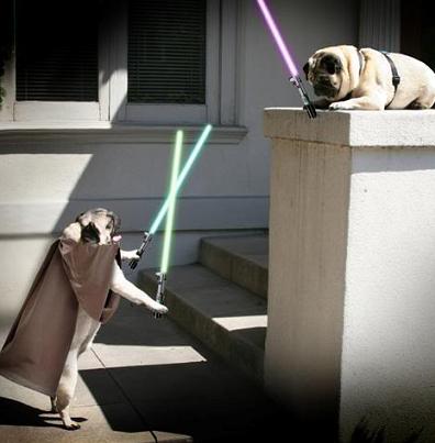 jedi-animals-37