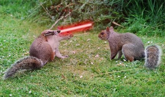 jedi-animals-35