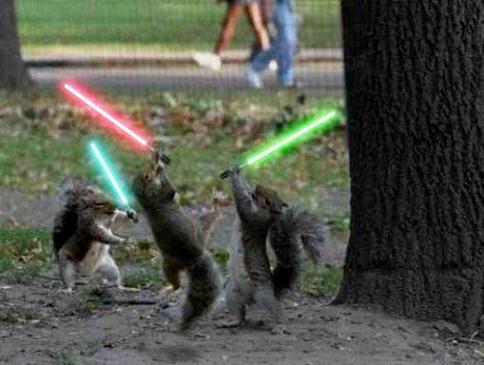 jedi-animals-32
