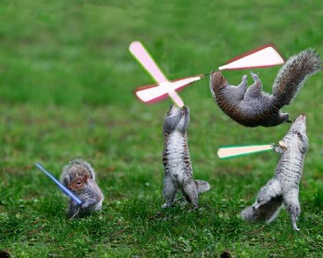 jedi-animals-29