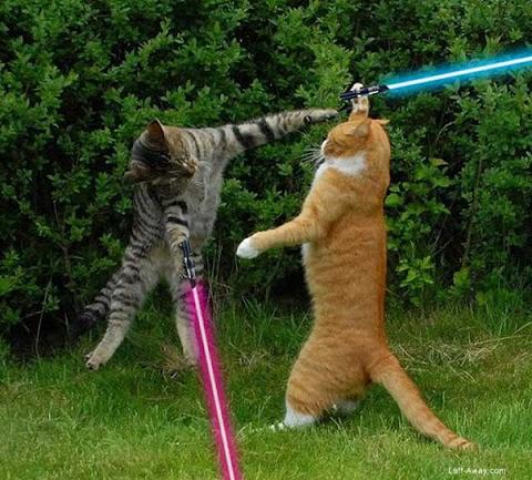 jedi-animals-27