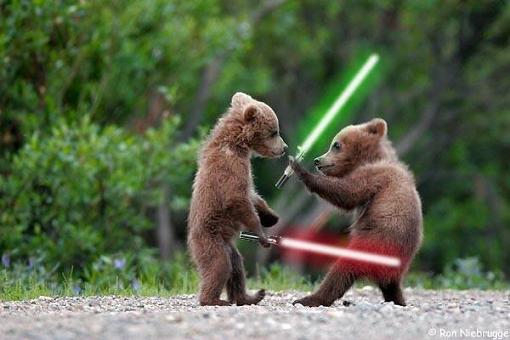 jedi-animals-25