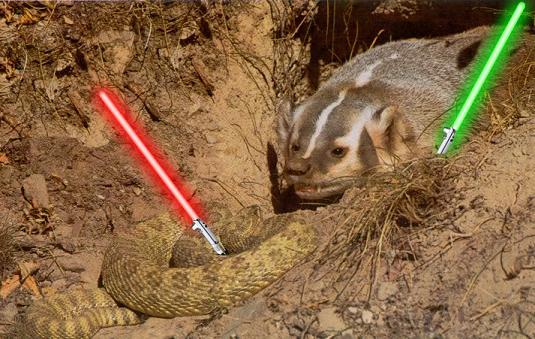 jedi-animals-22