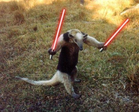 jedi-animals-21