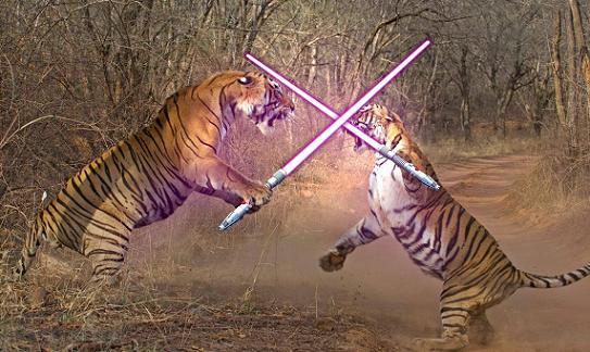 jedi-animals-20