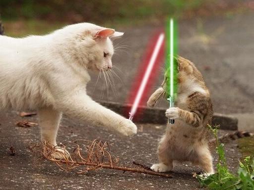 jedi-animals-19