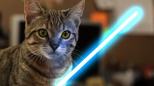 jedi-animals-17