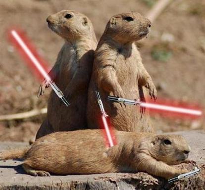 jedi-animals-16