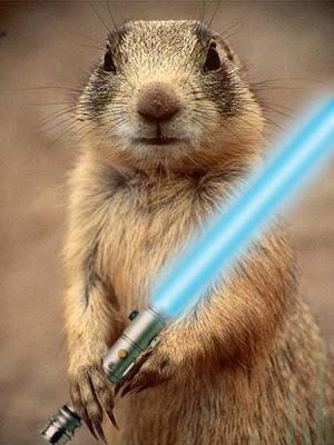 jedi-animals-15