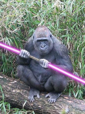 jedi-animals-13