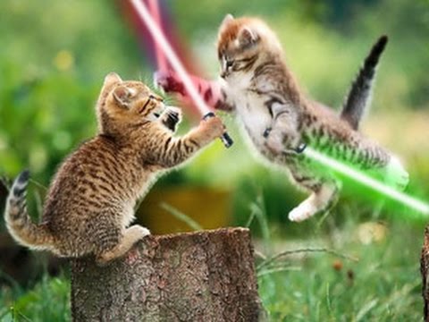 jedi-animals-07