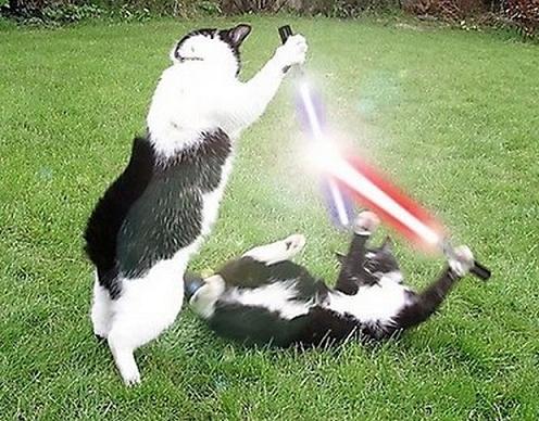 jedi-animals-06
