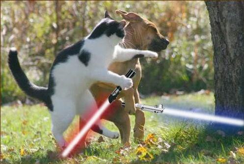 jedi-animals-05