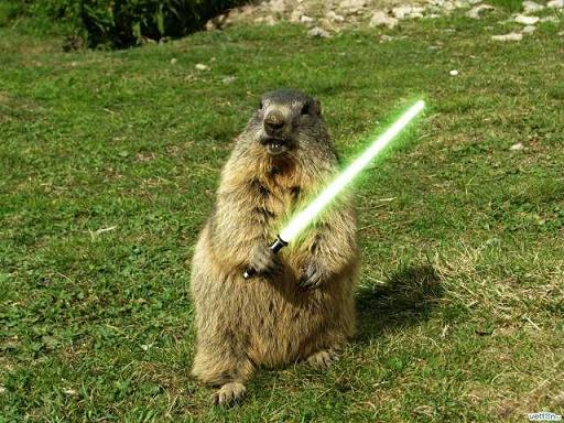jedi-animals-03
