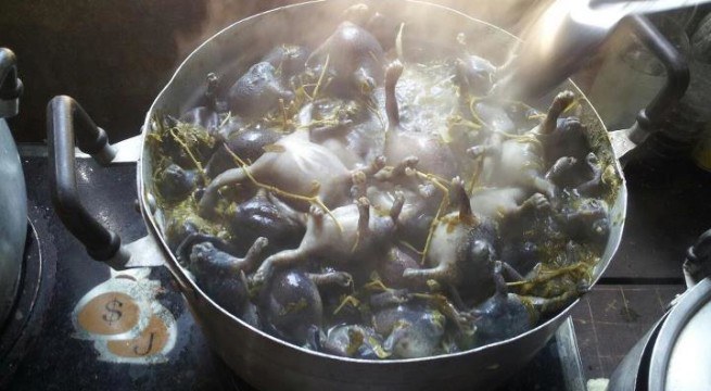 ต้มอึ่ง ใบมะขามอ่อน