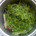 ใบมะขามอ่อน