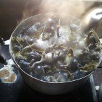 ต้มอึ่ง ใบมะขามอ่อน